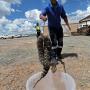 Snake Handling Training