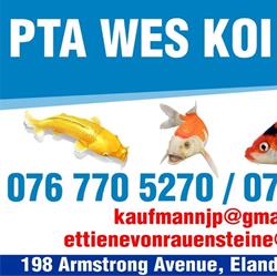 PTA Wes Koi Centre