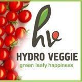 Hydro Veggie (Pty) Limited