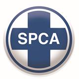 Germiston Bedfordview SPCA