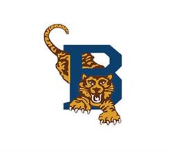 Bellville Tygers Bofbalklub