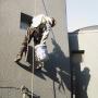 Painting  Deco