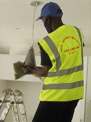 Painting & Renovations/Samtelporcupine