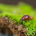 Termite Control in Simon's Town