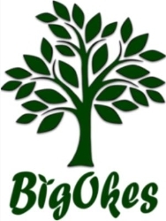 BigOkes