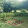 Chillies Everywhere!
