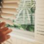 Blinds
