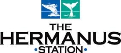The Hermanus Station Mall