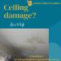 Ceiling