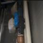 Spring Forest Plumbing 105