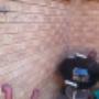 Spring Forest Plumbing 219