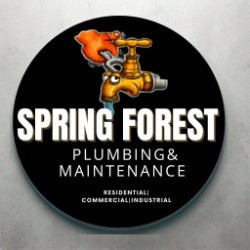 Spring Forest Plumbing and Maintenance (Pty) Ltd