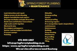 Spring Forest Plumbing and Maintenance (Pty) Ltd
