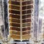 Honey frames