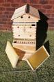 Auto Hives