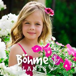 Bohme Plants