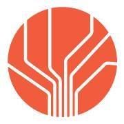 IronTree Internet Services CC