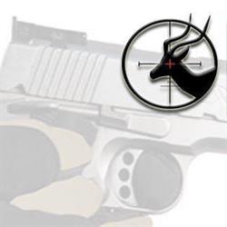 Airport Guns & Ammunition