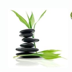 Shiora Pilates & Wellness Centre