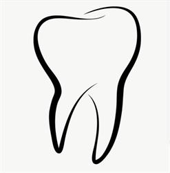 Dr Marcus Bronkhorst - Dentist/Tandarts