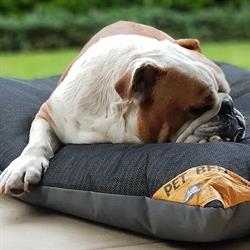 PETZBED - Health Mattress for Pets