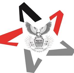 Nguvu Protection