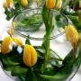 Tulip Table Centrepiece