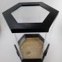 Hexagon Ant Outworld