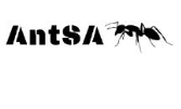 Ants South Africa