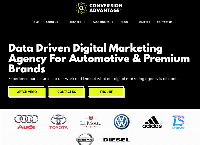 Conversion Advantage's website