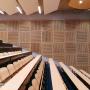 Acoustic Panels 3