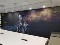 Acoustic Wall