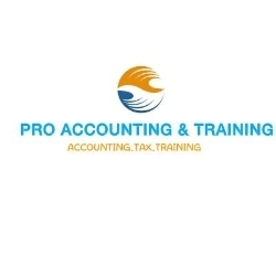 Pro Accounting and training cc