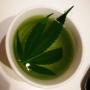 Cannabis tea