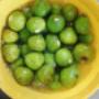 Fig Fruit #1