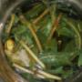 Herbal infusion