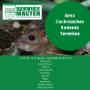Rat Control