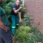 Termite Treatment External Walls