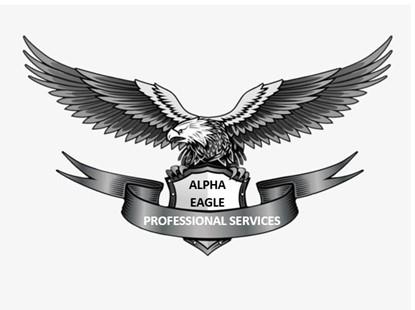 ALPHA EAGLE PROFESSIONAL SERVICES