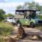 Incredible-Lion-sighting-