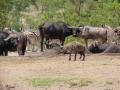 Hazyview lodges, guest houses and hotel Kruger Safari partnership