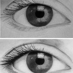 Van der Spuy Optometrists