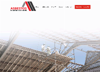 Asbestos Removal & Roofing's website