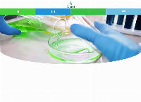 Chemi's website