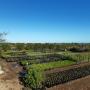 Our Eco Friendly Plant Nursery pic 1