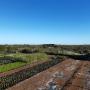 Our Eco Friendly Plant Nursery pic 2