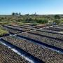 Our Eco Friendly Plant Nursery pic 4