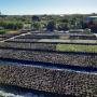Our Eco Friendly Plant Nursery pic 5