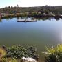 Our Man made ECO FRIENDLY dam pic 2