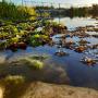 Our Man made ECO FRIENDLY dam pic 3